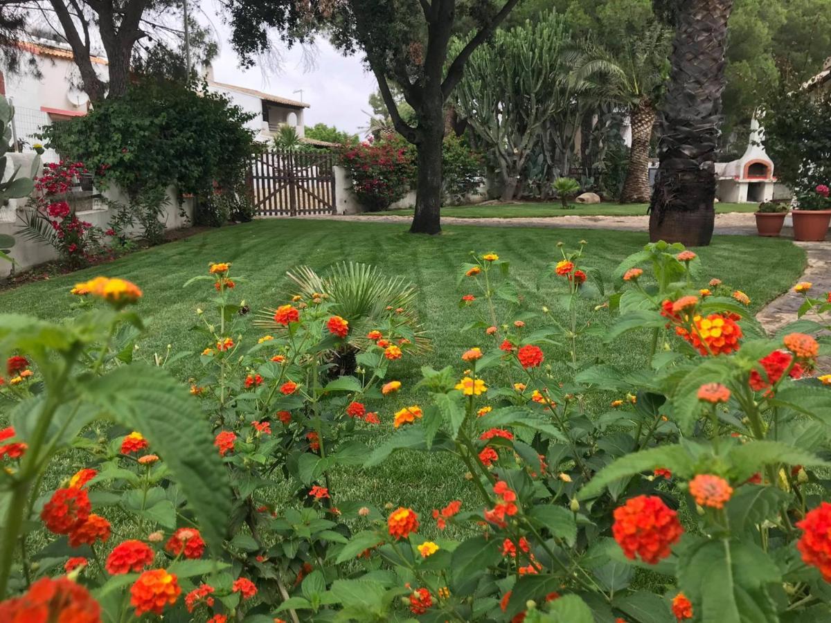 Villa Acquamarina Stella di Mare Capitana Esterno foto